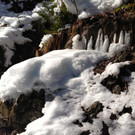 KOE_Winterwanderung Alpe Almein 5_jpg-1362325826