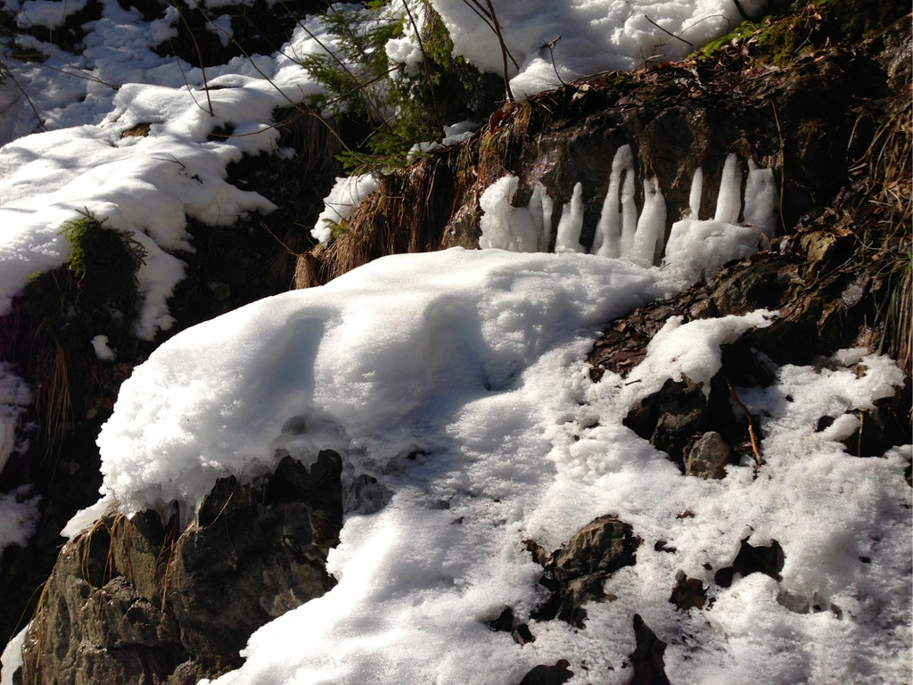 KOE_Winterwanderung Alpe Almein 5_jpg-1362325826