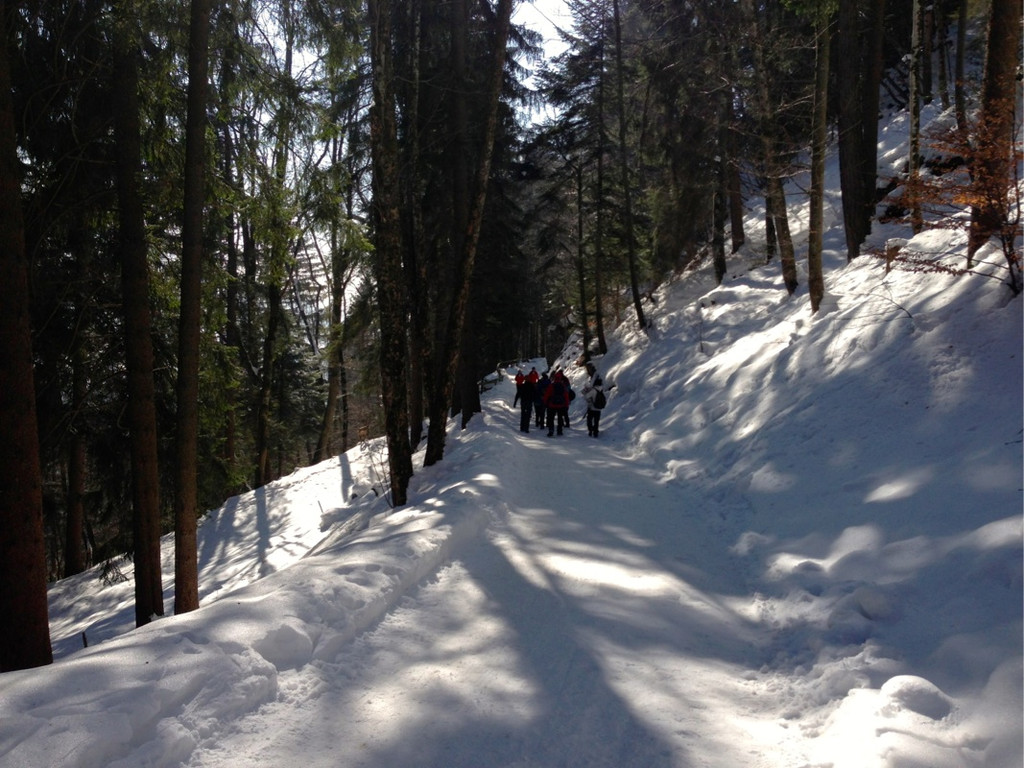 KOE_Winterwanderung Alpe Almein 6_jpg-1362325832