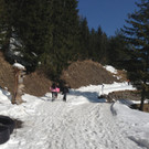 KOE_Winterwanderung Alpe Almein 7_jpg-1362325838
