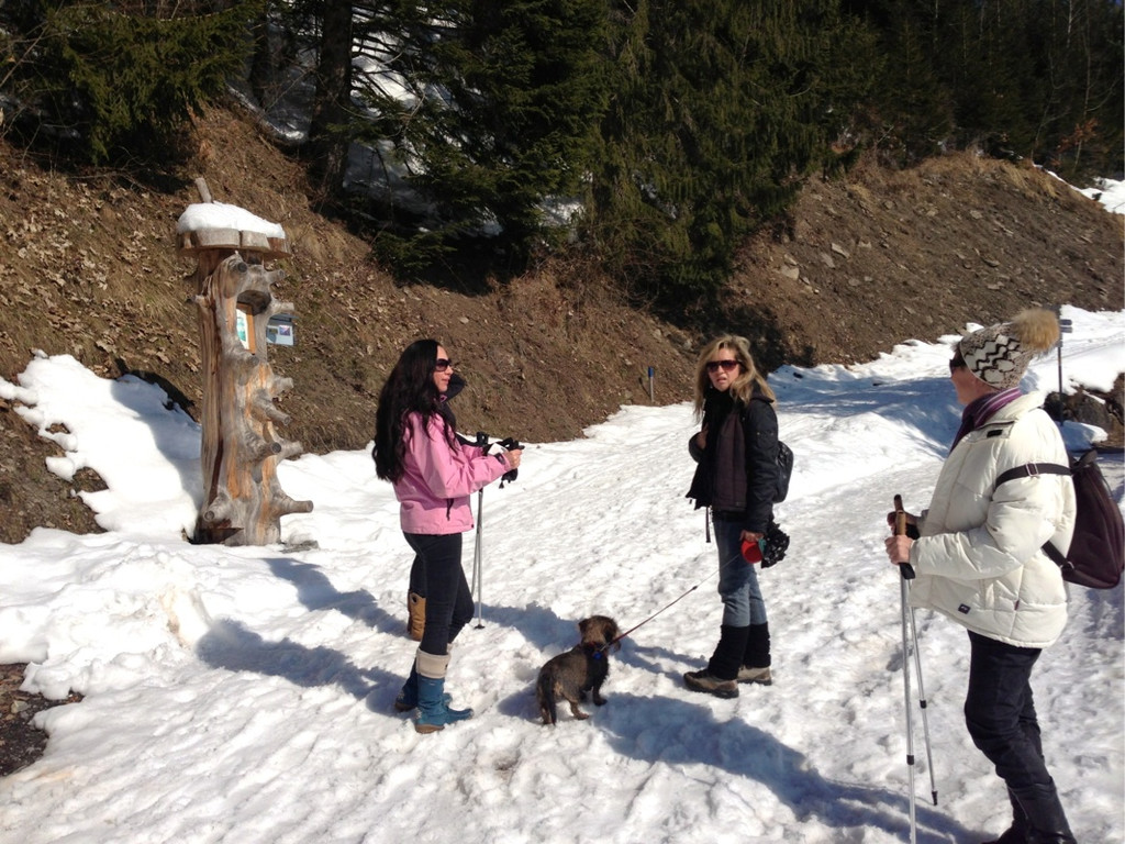 KOE_Winterwanderung Alpe Almein 8_jpg-1362325844