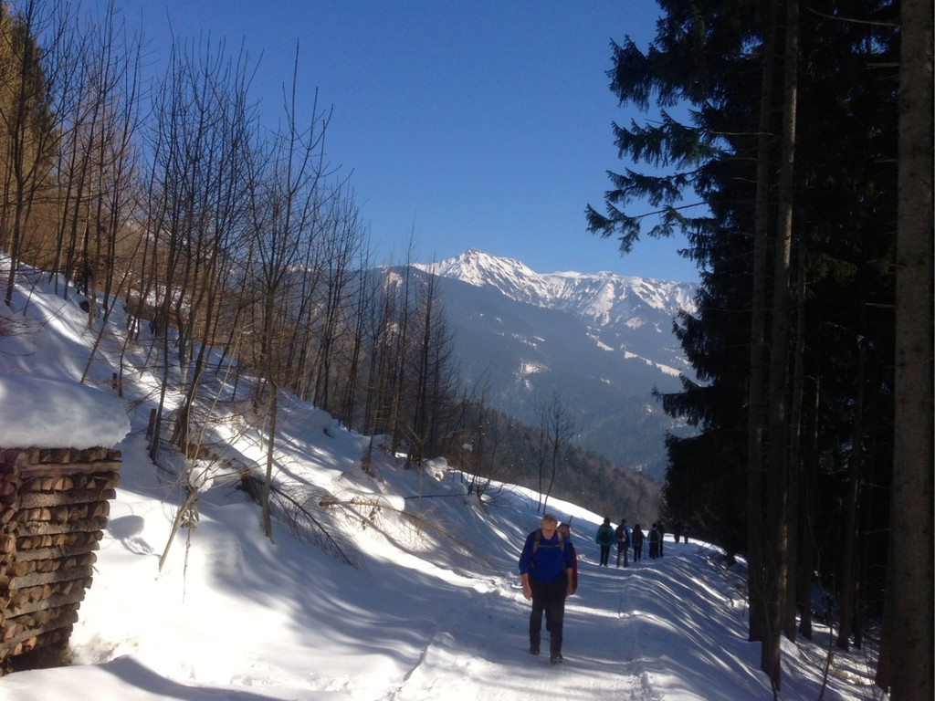 KOE_Winterwanderung Alpe Almein 11_jpg-1362325860