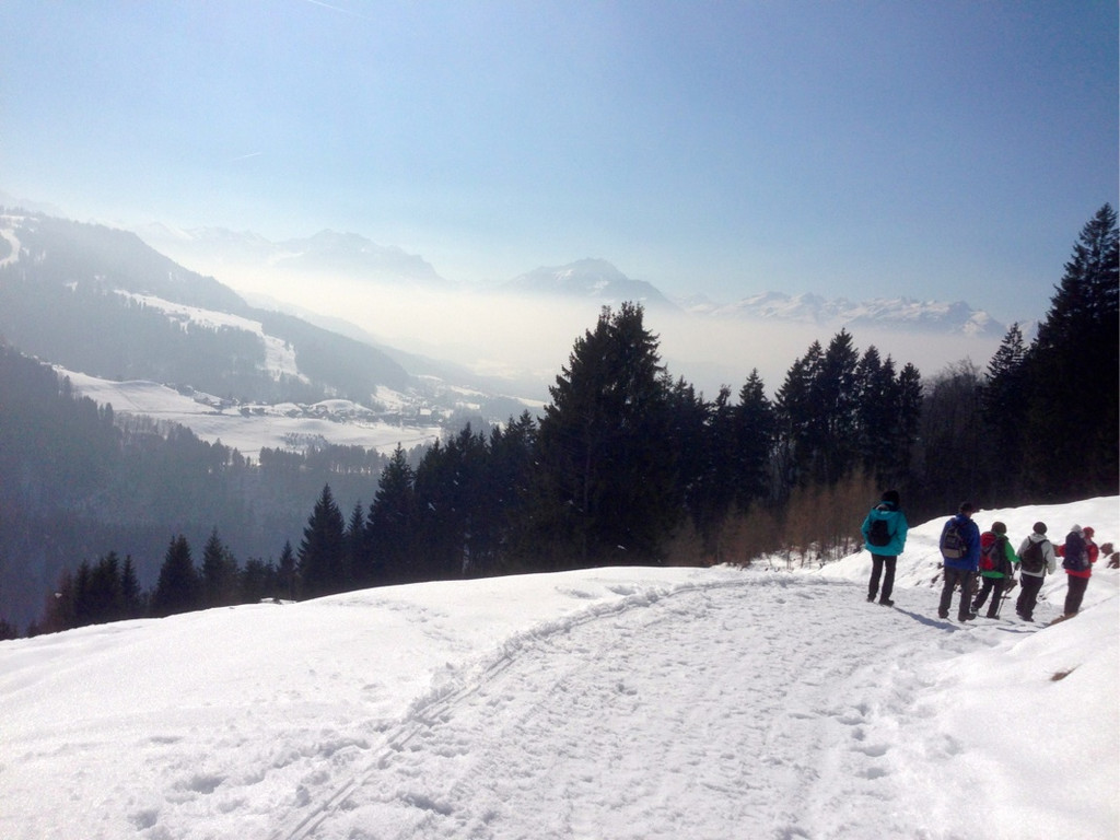 KOE_Winterwanderung Alpe Almein 12_jpg-1362325864