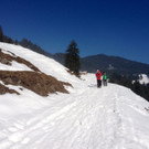 KOE_Winterwanderung Alpe Almein 14_jpg-1362325874