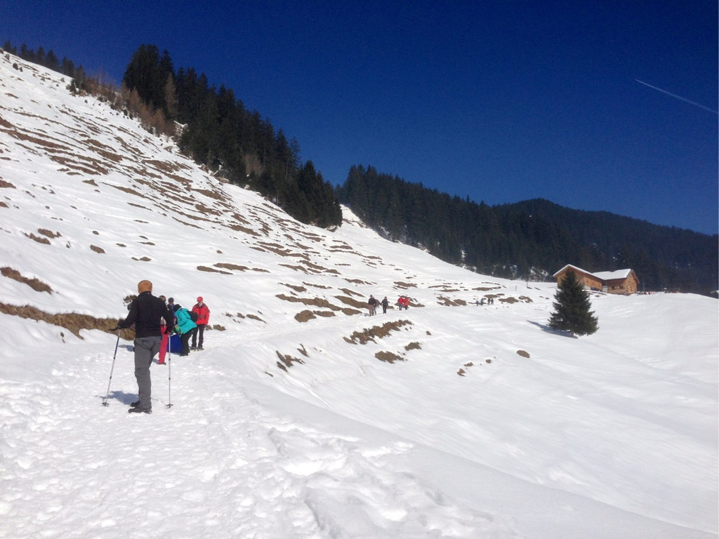 KOE_Winterwanderung Alpe Almein 17_jpg-1362325888