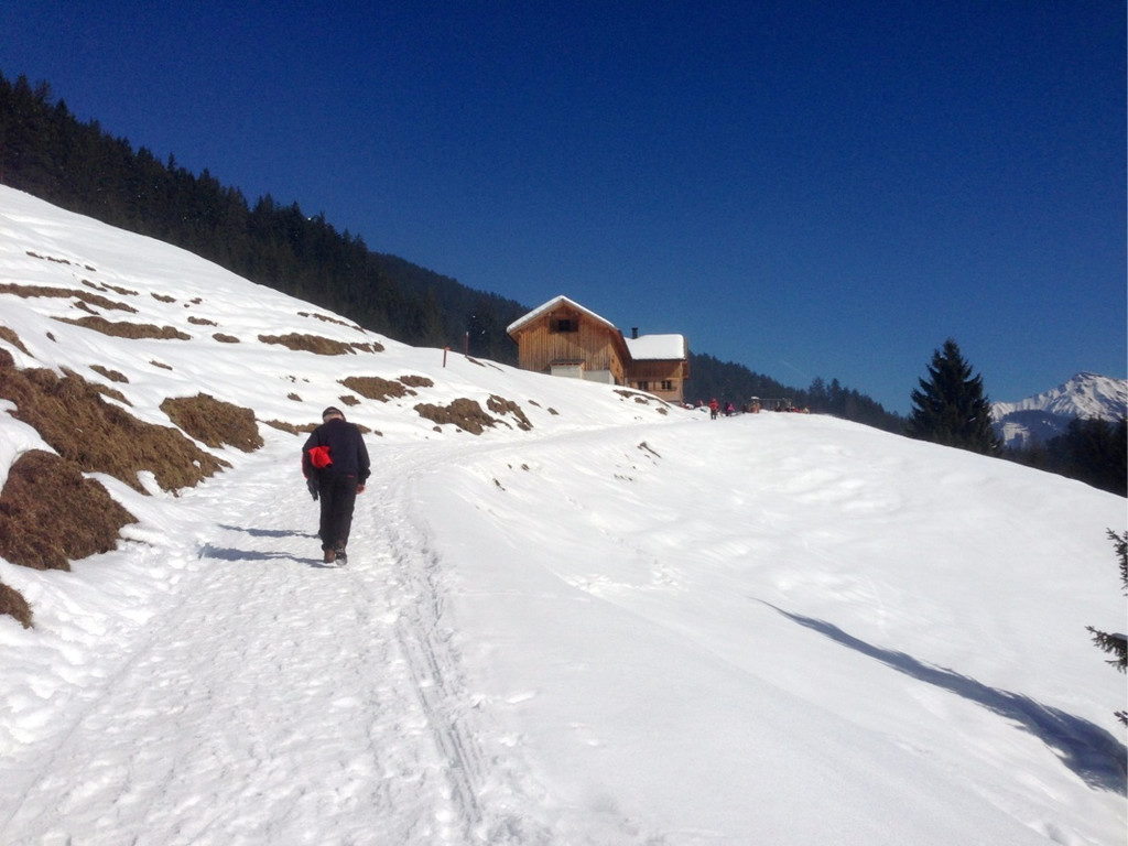 KOE_Winterwanderung Alpe Almein 18_jpg-1362325892