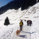 KOE_Winterwanderung Alpe Almein 23_jpg-1362325921