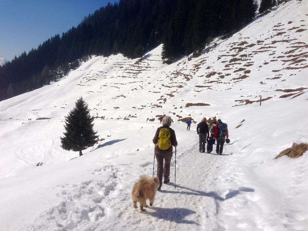 KOE_Winterwanderung Alpe Almein 23_jpg-1362325921