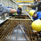 P1000129_jpg-1362327656