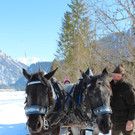IMG_2184_JPG-1362327691