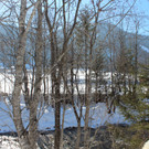 IMG_2187_JPG-1362327750