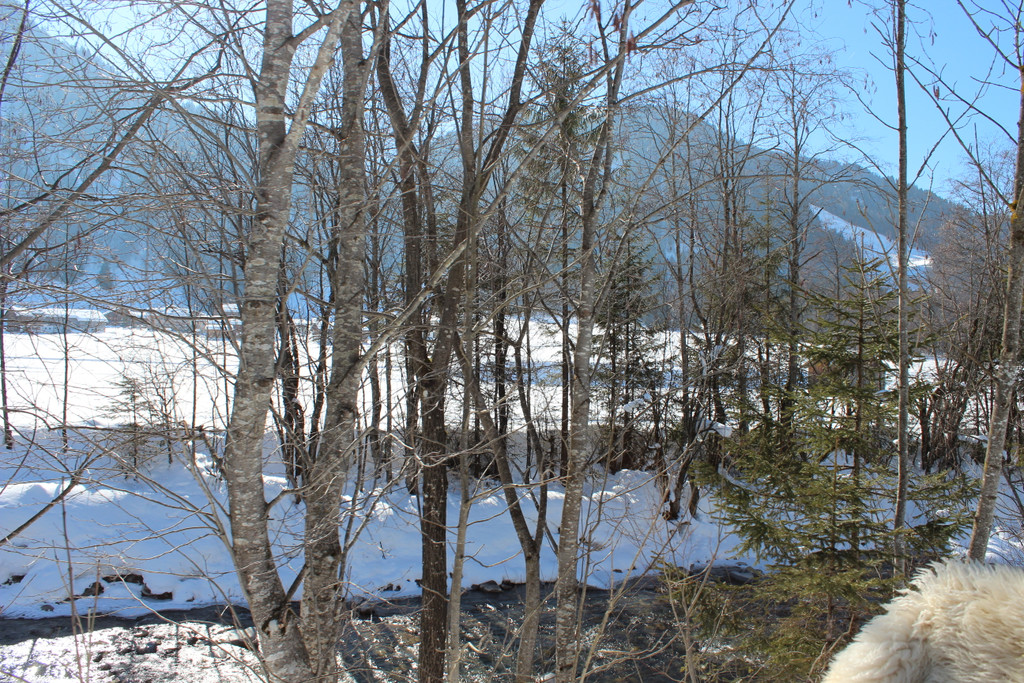 IMG_2187_JPG-1362327750