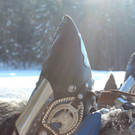 IMG_2215_JPG-1362327914