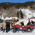 IMG_2241_JPG-1362328136