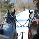 IMG_2190_JPG-1362328453
