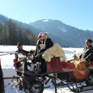 IMG_2205_JPG-1362328542