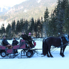 IMG_2228_JPG-1362328812