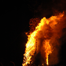 DSC_0384.JPG
