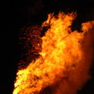 DSC_0387.JPG