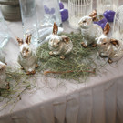 IMG_4312_JPG-1362338016