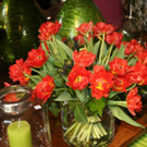 IMG_4320_JPG-1362338127