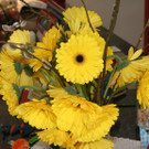 IMG_4328_JPG-1362338195