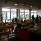 IMG_4343_JPG-1362338306