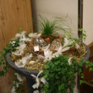 IMG_4354_JPG-1362338398
