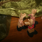IMG_4357_JPG-1362338422