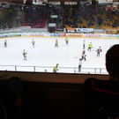 IMG_4347_jpg-1362338824