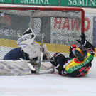 IMG_9295_jpg-1362339210