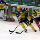 IMG_9316_jpg-1362339256