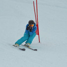 DSC_2157_jpg-1362346748