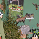 Oberländer Jägertage 2013