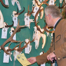 DSC_3315_jpg-1362347697