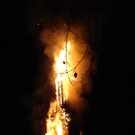 DSC00893.JPG