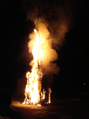 DSC00894.JPG