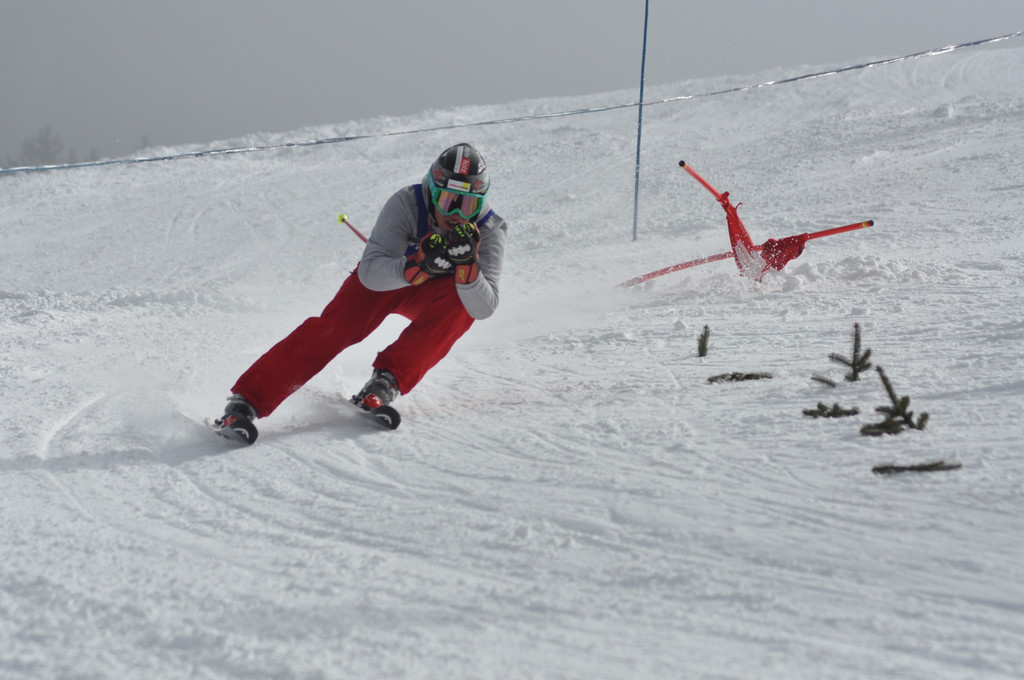 DSC_0337_JPG-1362346439