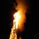 DSC00895.JPG