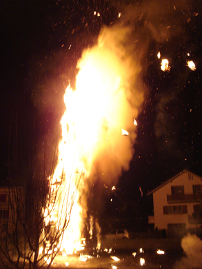 DSC00897.JPG