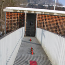 IMG_8424_jpg-1362350118