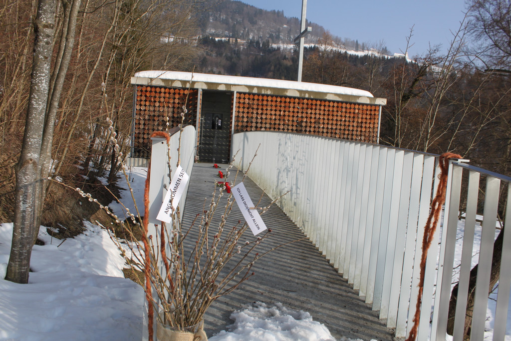 IMG_8445_jpg-1362350499