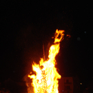 DSC00903.JPG