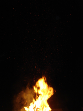 DSC00907.JPG