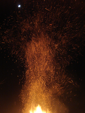 DSC00905.JPG