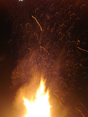 DSC00906.JPG
