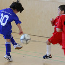 IMG_4699_jpg-1362385331