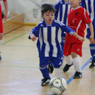 IMG_4709_jpg-1362385358