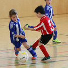 IMG_4781_jpg-1362385469