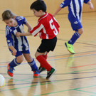 IMG_4782_jpg-1362385482